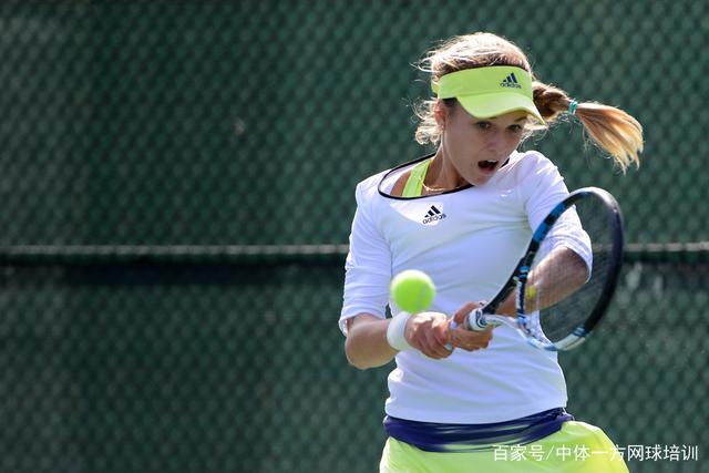 有專家認為 有專家認為